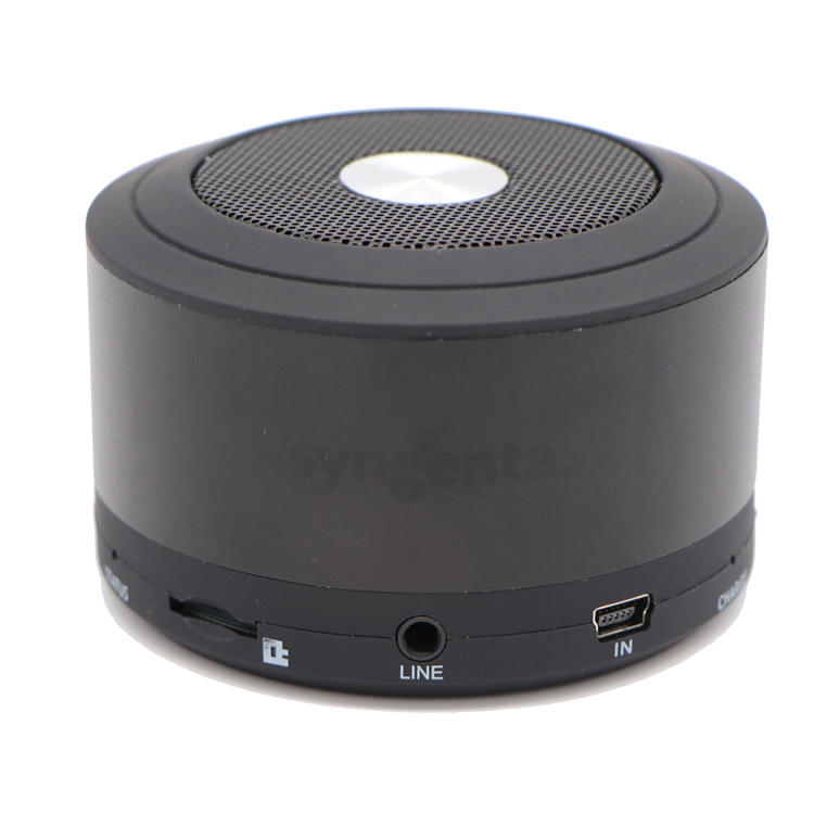 Bluetooth Speaker (2).JPG